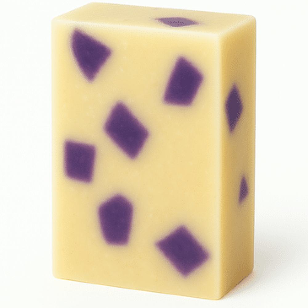 Home 20 Black Raspberry Vanilla Soap for Women